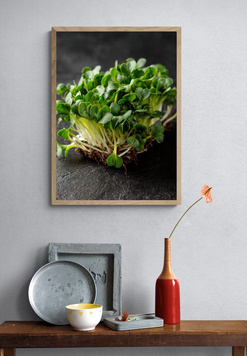 Microgreens Botanical Print. — room view 3