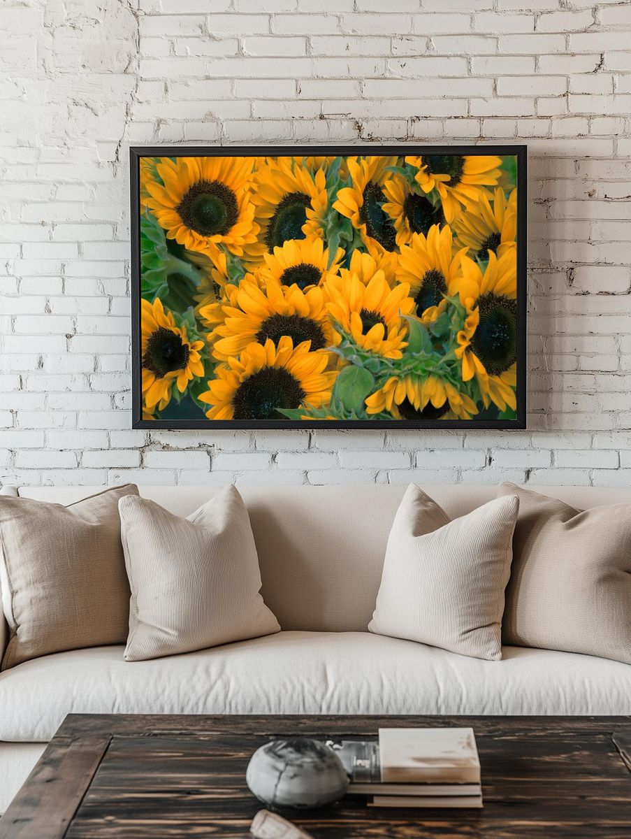 Bunch sunflowers. room preview