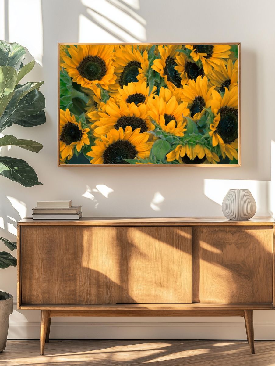 Bunch sunflowers. — room view 3