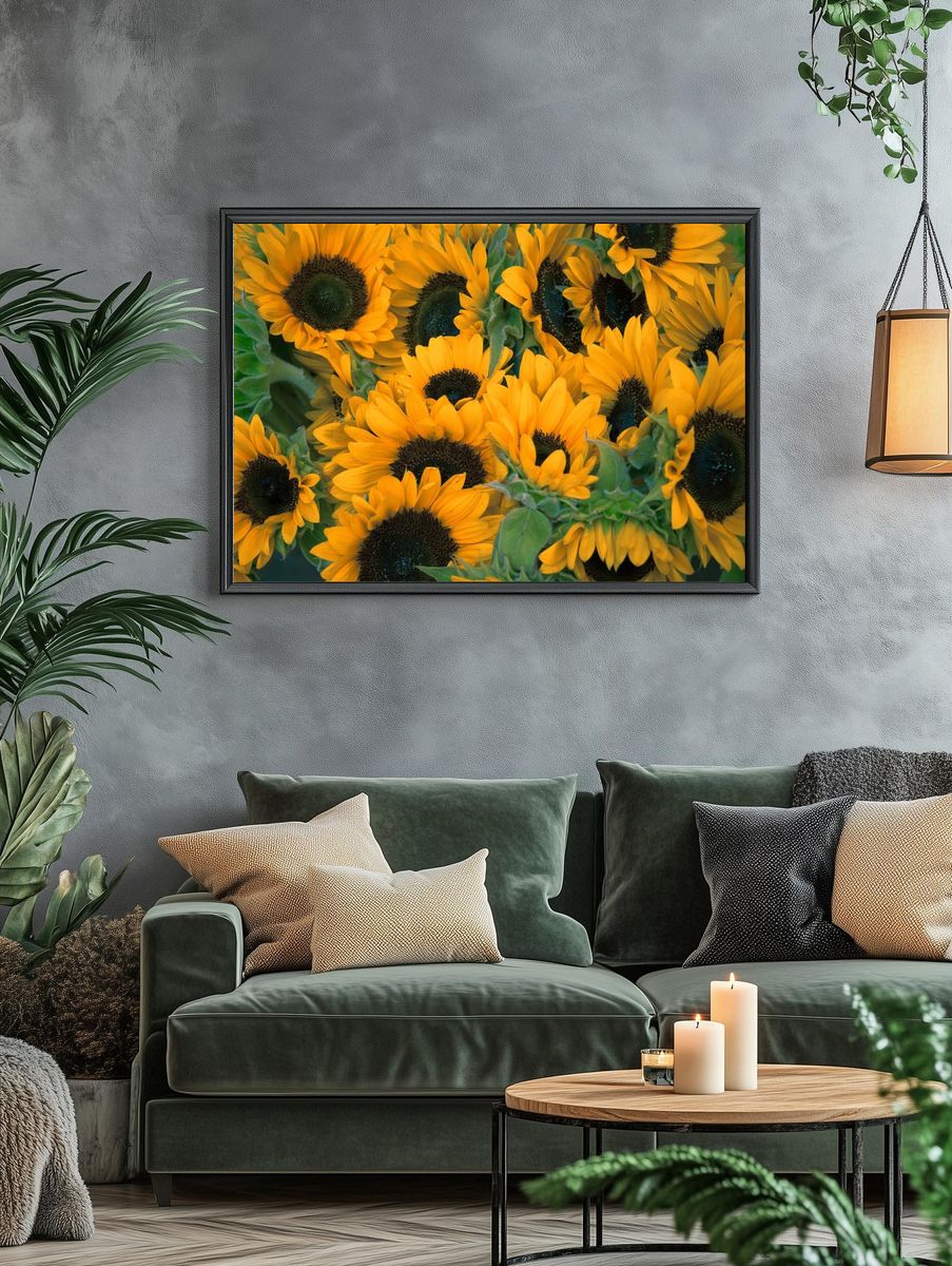 Bunch sunflowers. — room view 4