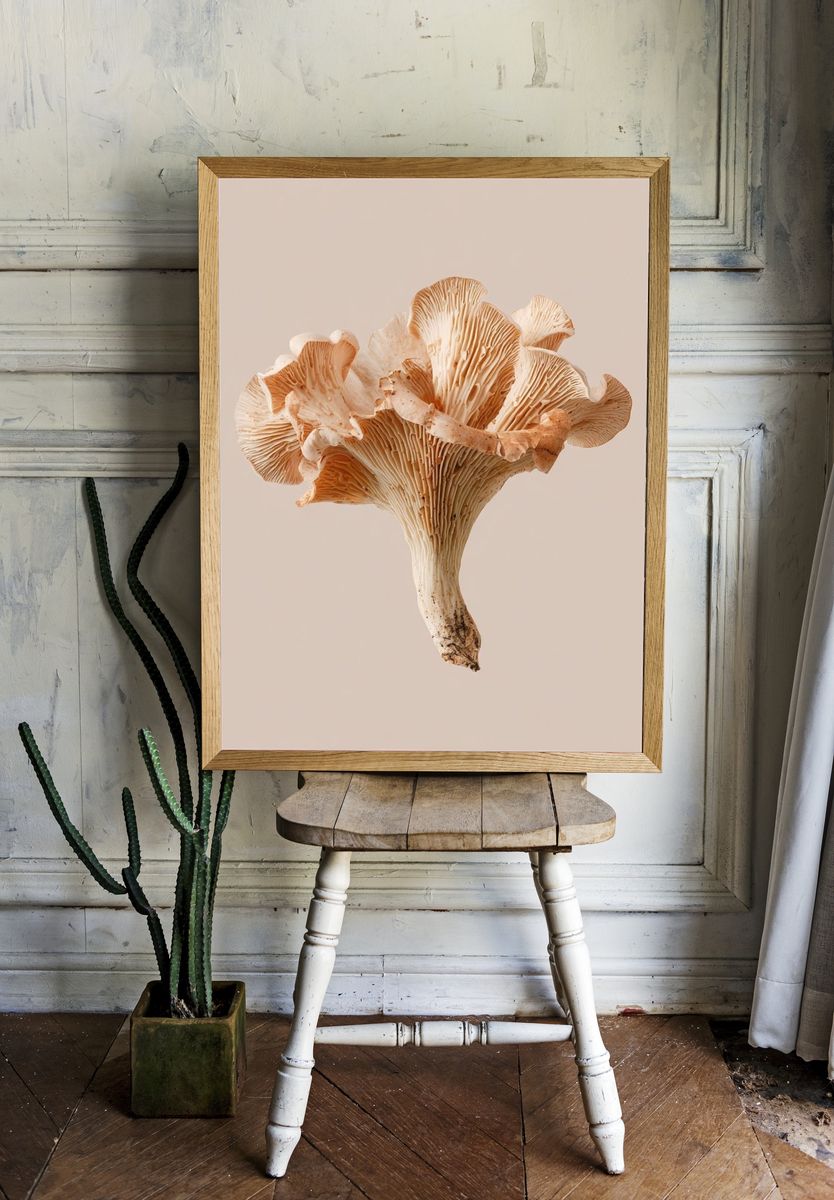 Oyster Mushroom Botanical Print. — room view 1