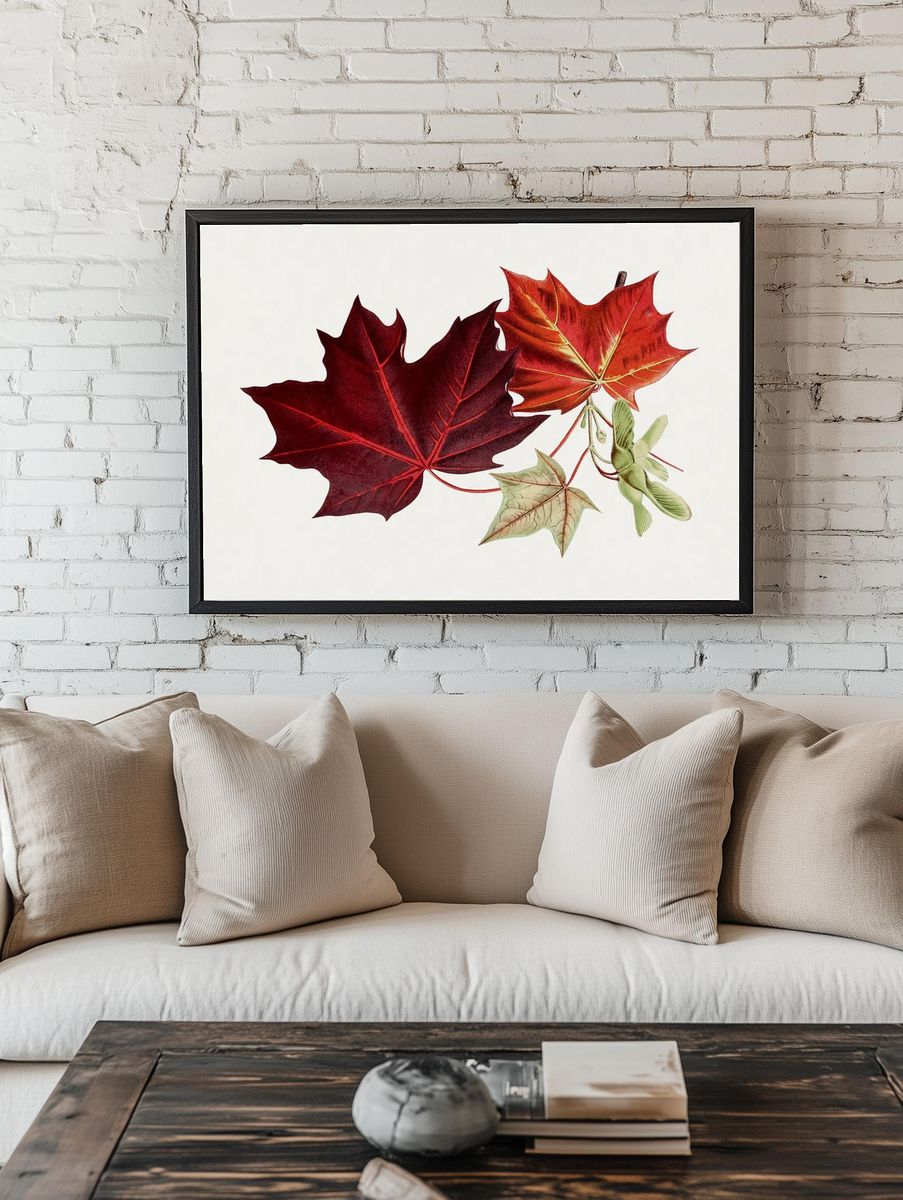Hand drawn red maple leaves. room preview