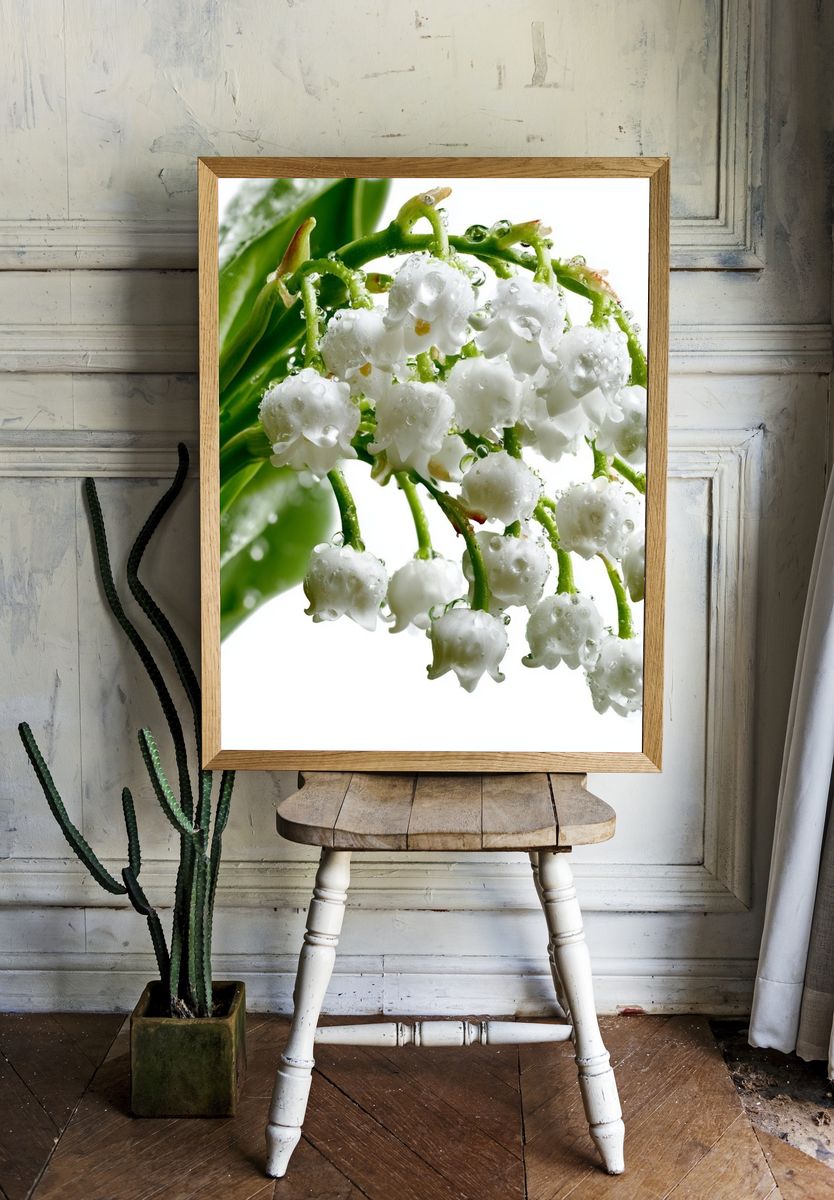 Lily of the Valley Botanical Print. room preview