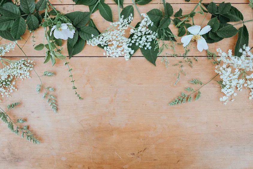 Flower wallpaper, aesthetic HD nature. poster detail