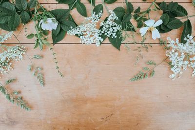 Flower wallpaper, aesthetic HD nature. poster print