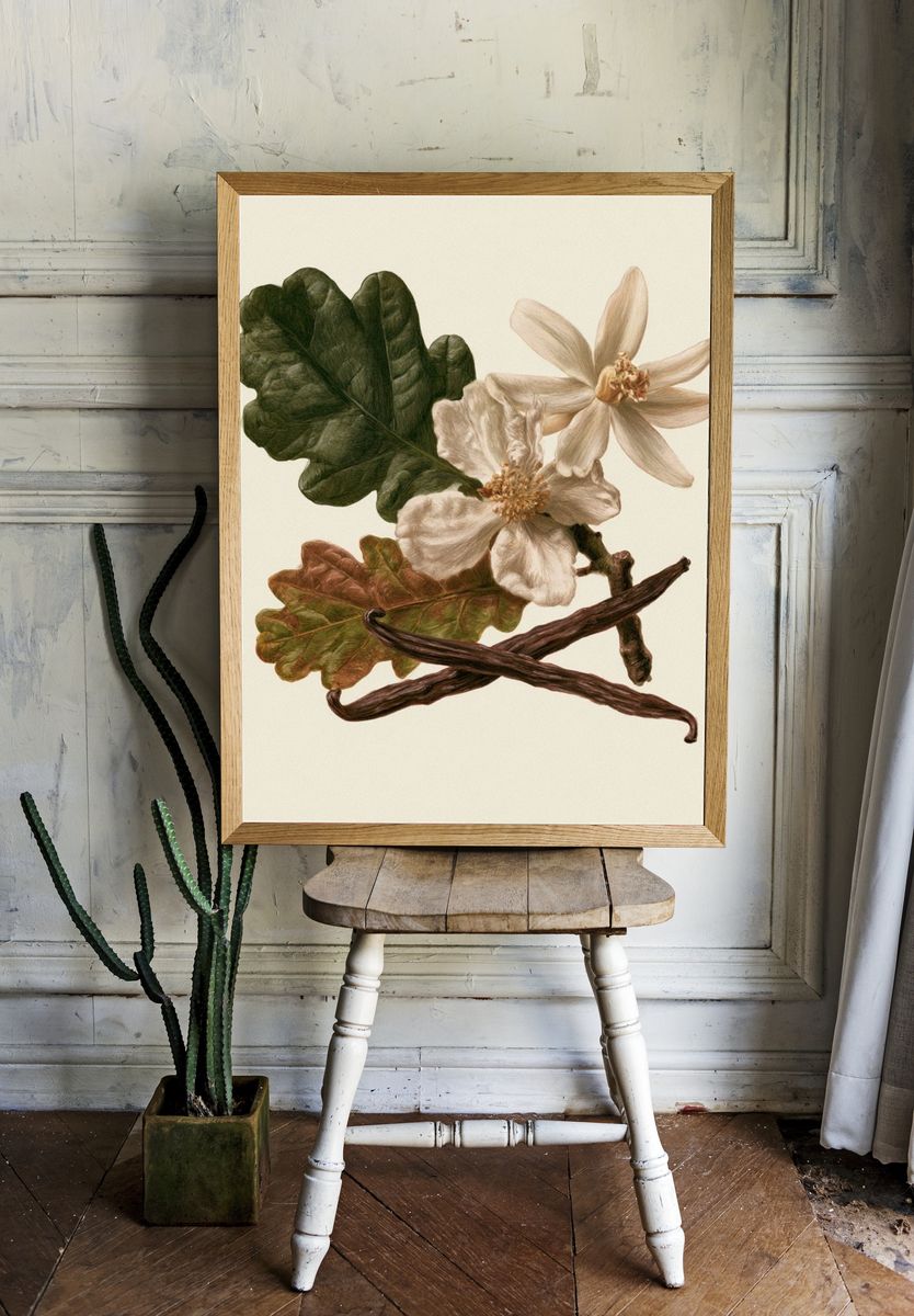 Botanical Study — Vintage Print. room preview