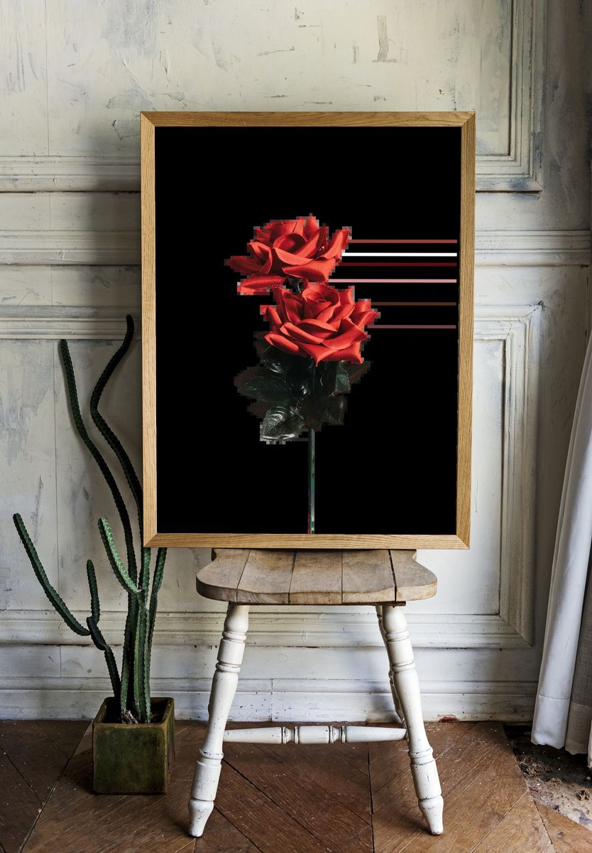 Beautiful red rose valentines day. — room view 1