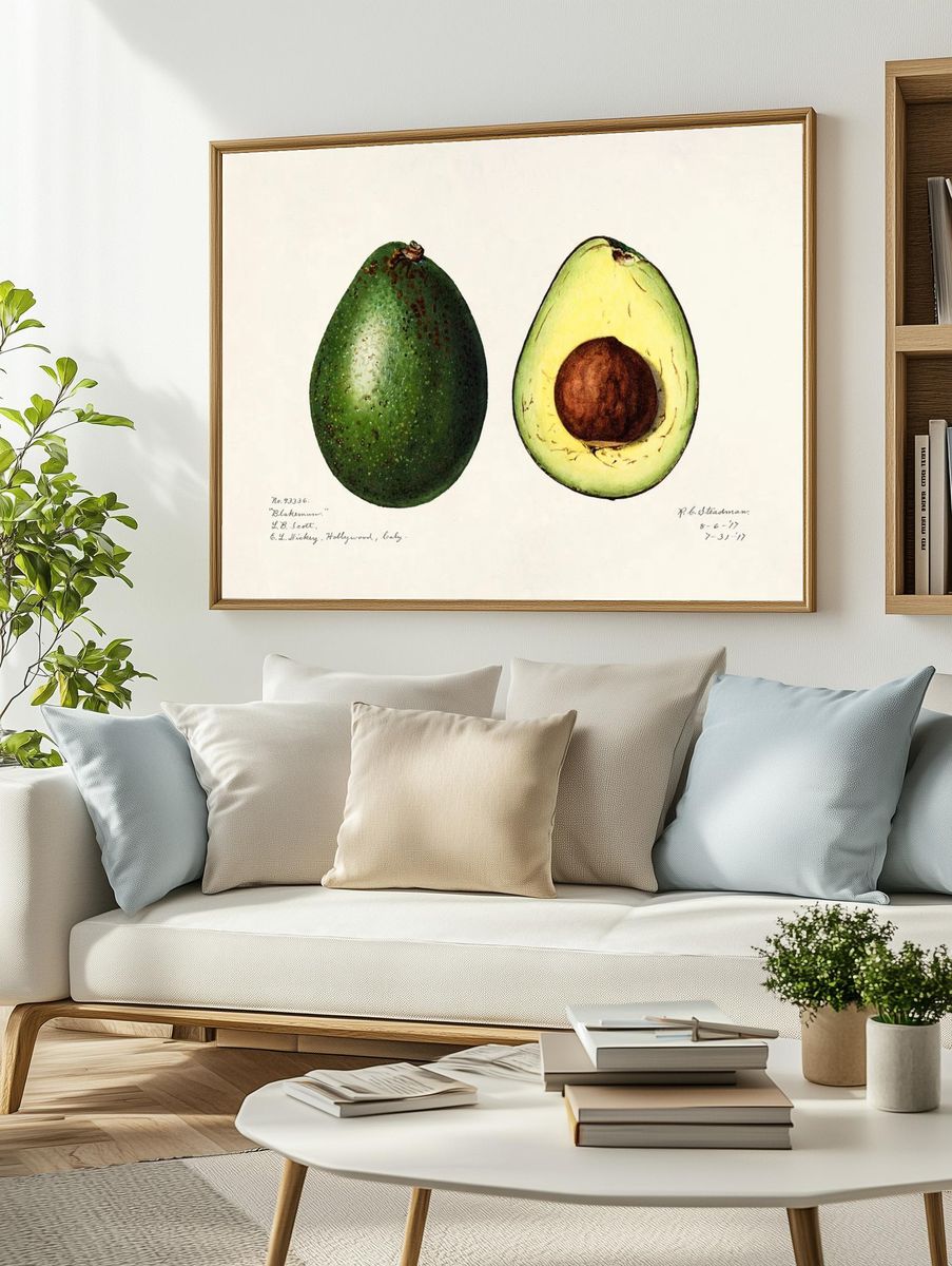 Avocado (Persea) (1916) Amada Almira. — room view 2