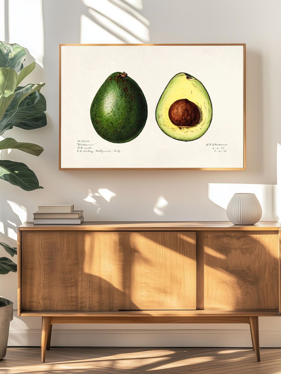 Avocado (Persea) (1916) Amada Almira. — room view 3
