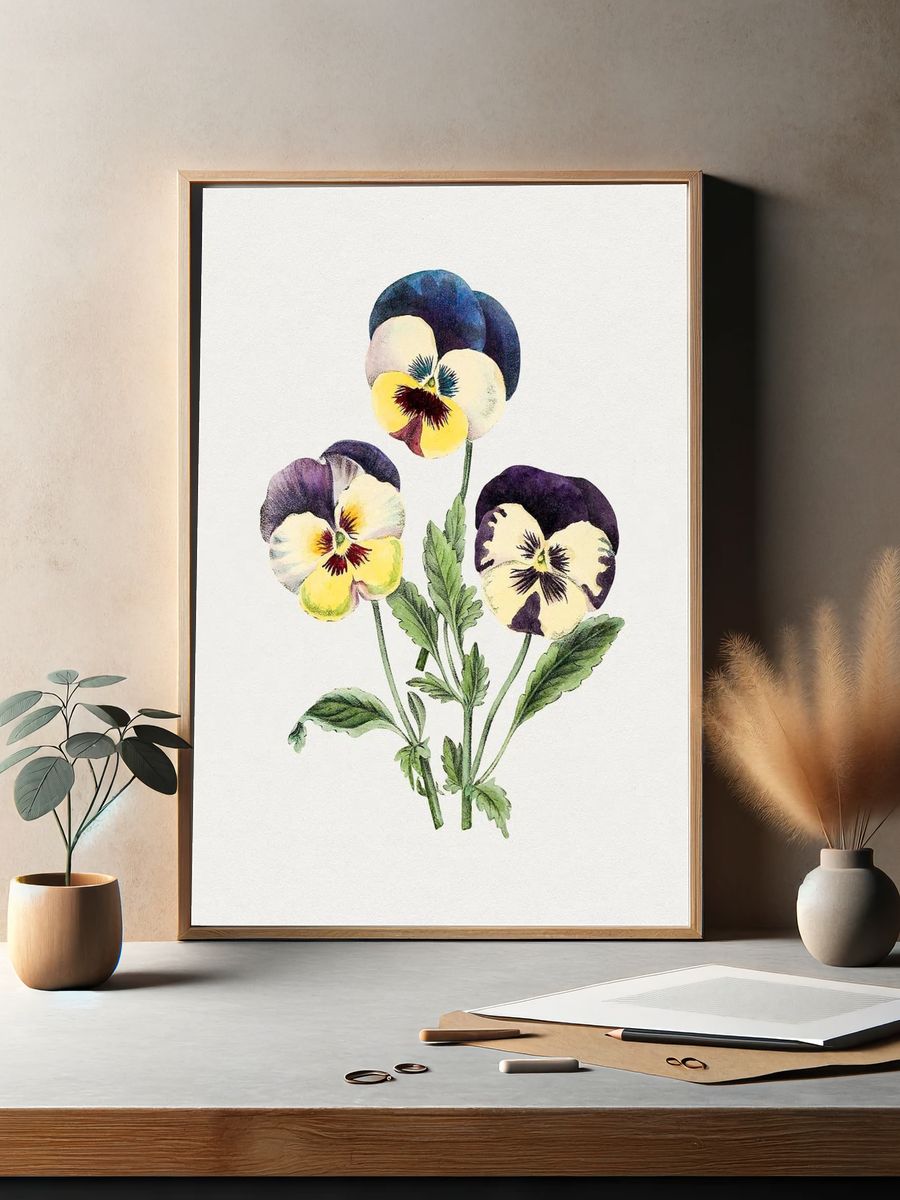 Hand drawn wild pansy flower. — room view 2