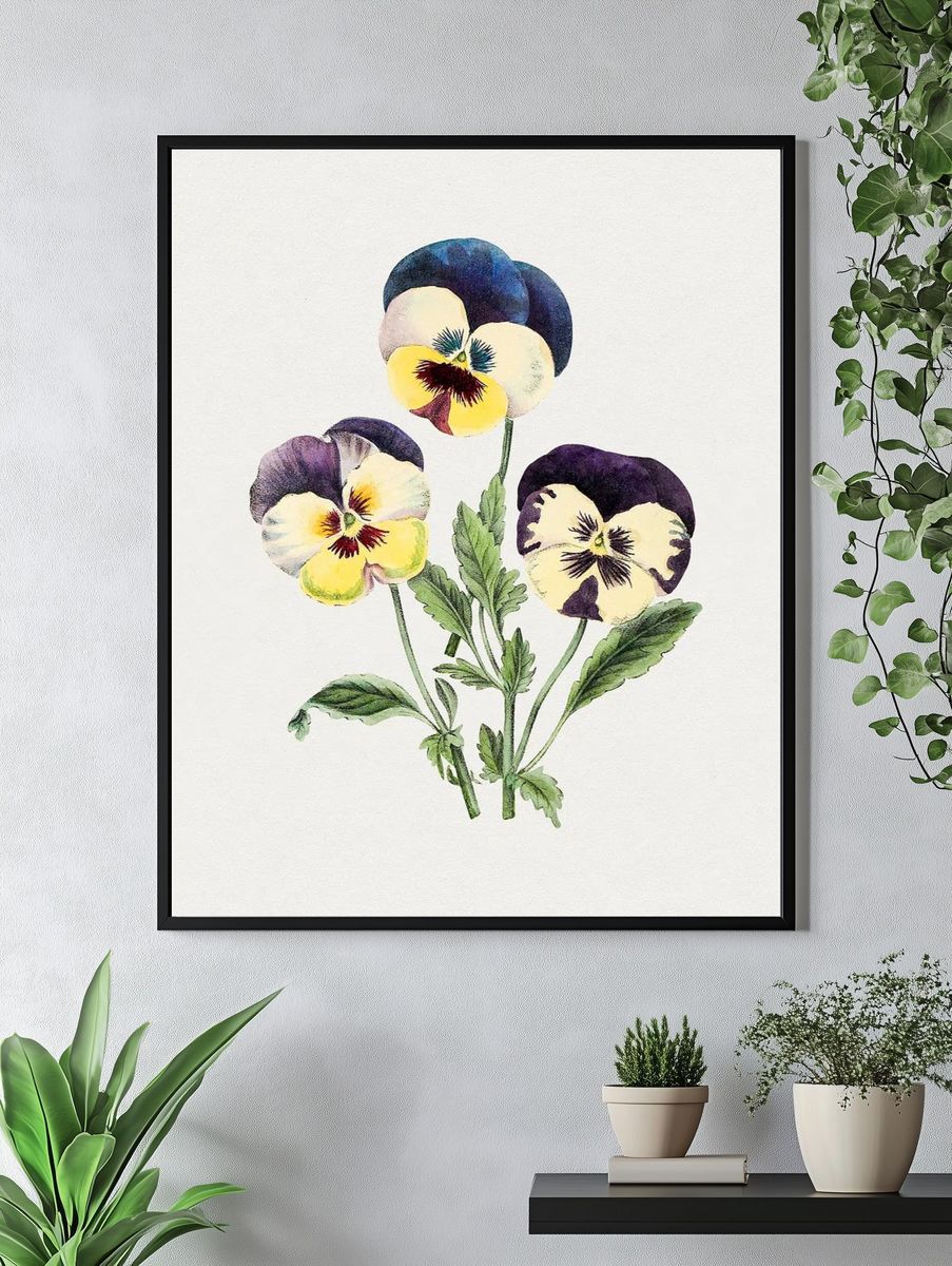 Hand drawn wild pansy flower. — room view 4