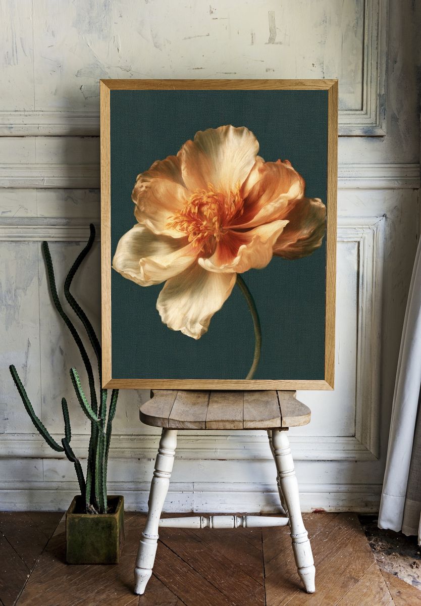 Peach Bloom Botanical Print. — room view 1