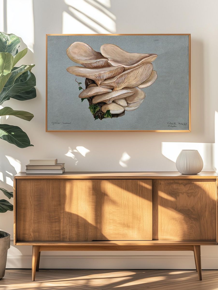 Mushroom Study — Botanical Print. — room view 3