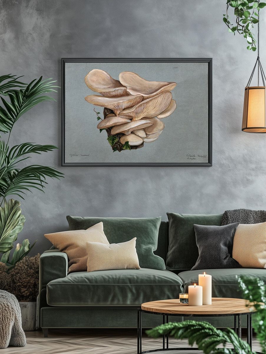 Mushroom Study — Botanical Print. — room view 4