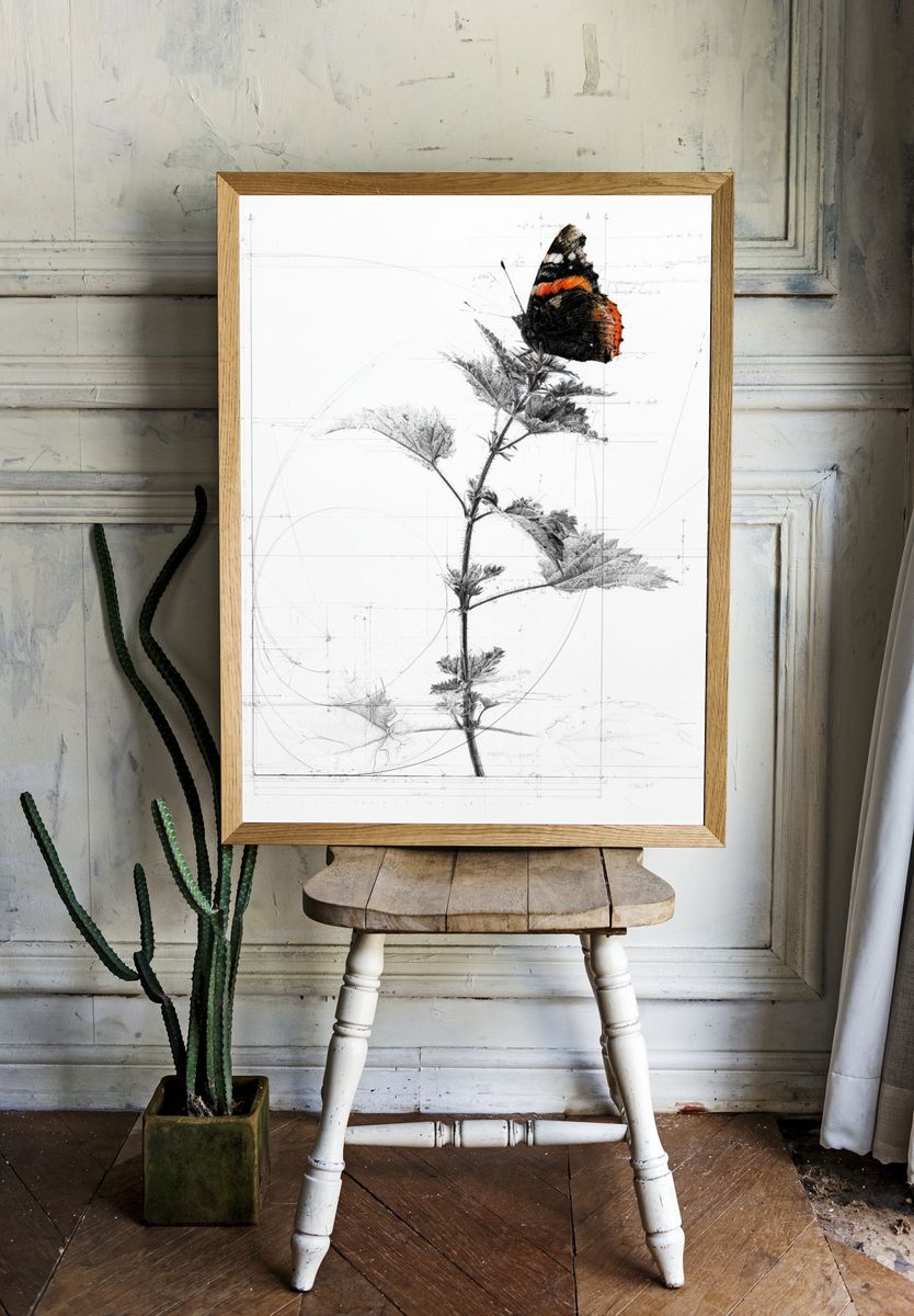 Butterfly Botanical Sketch Poster. — room view 1