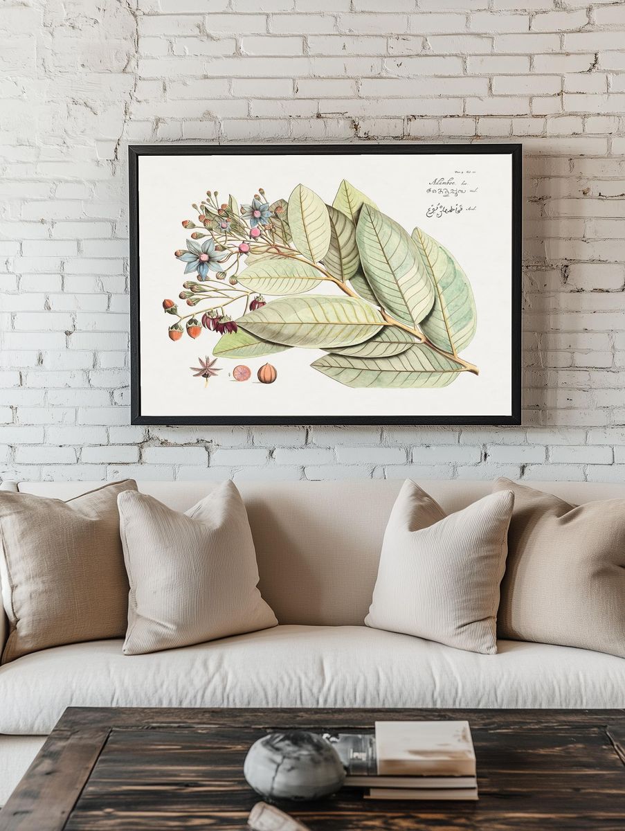 Botanical Illustration of Leaves and Flowers — Art Print. — room view 1
