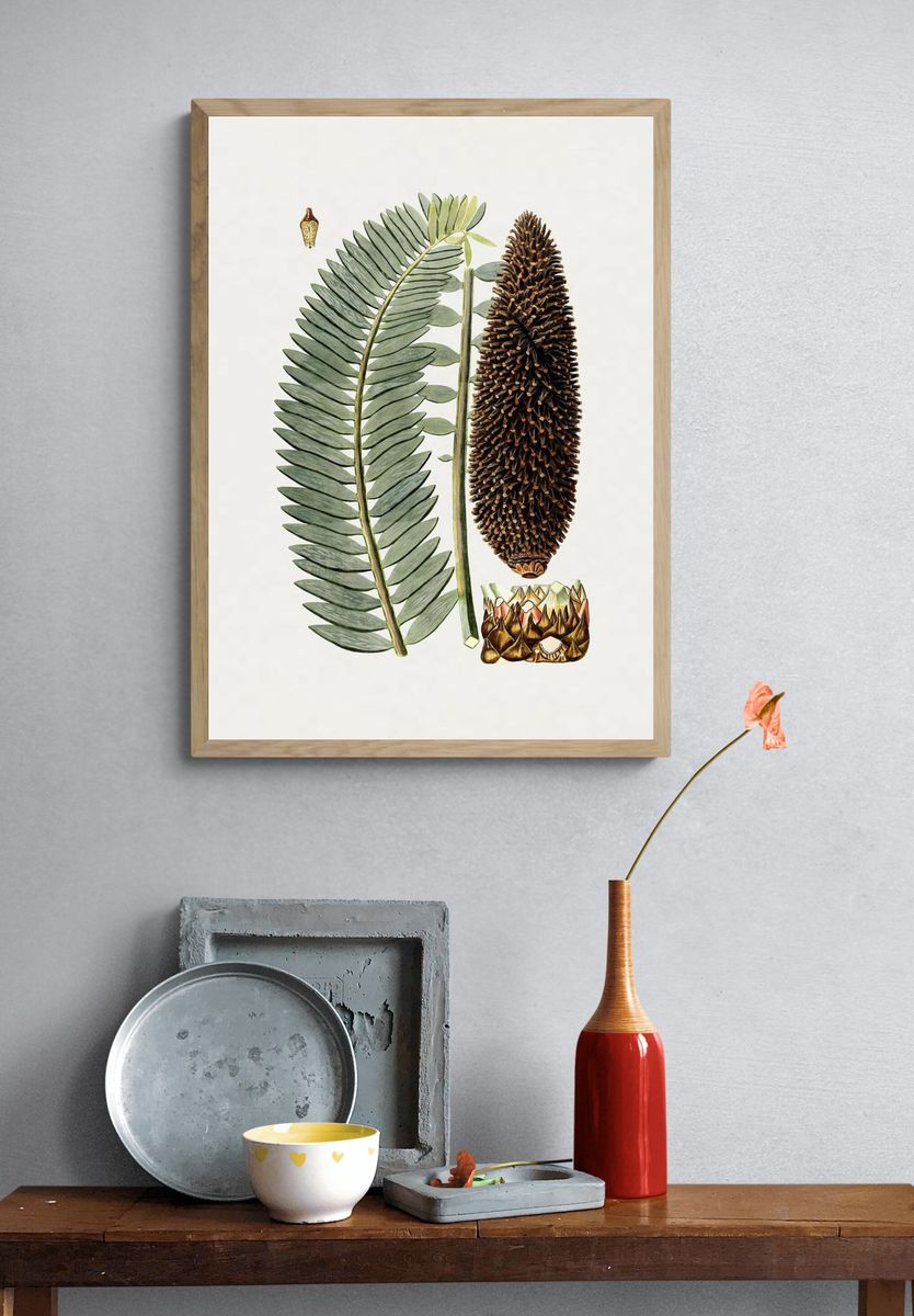 Botanical Fern and Cone Illustration Poster. — room view 3