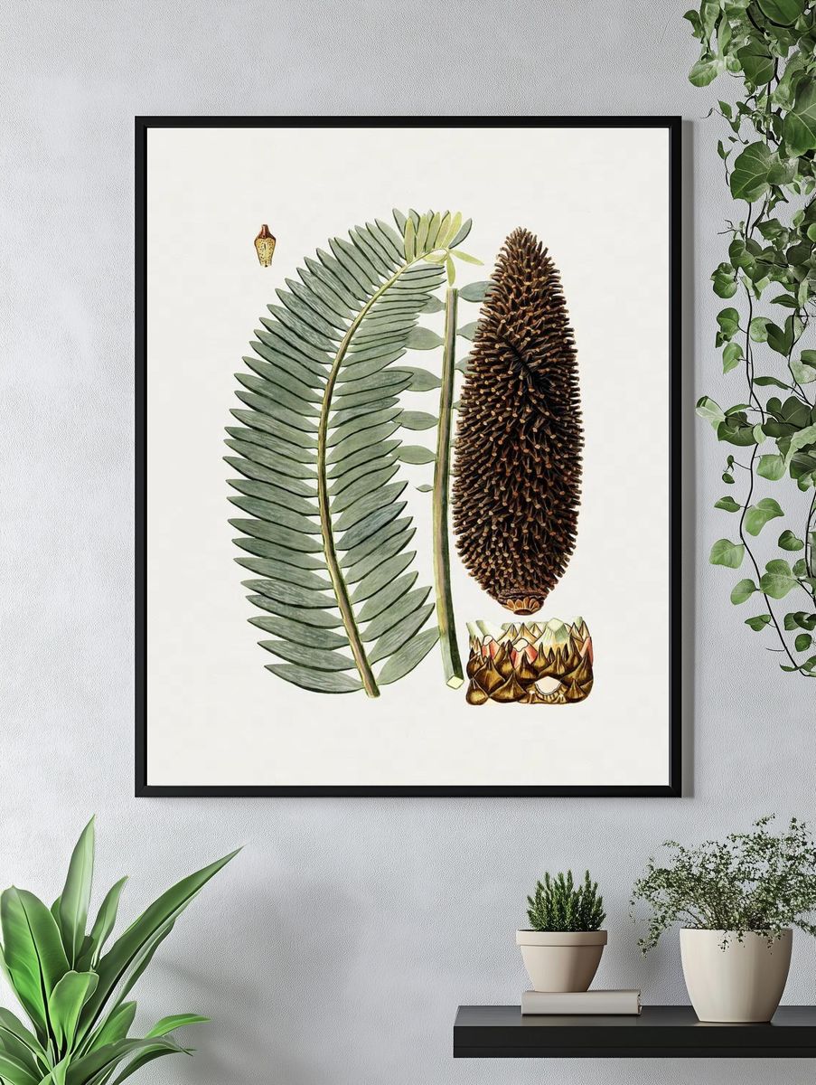 Botanical Fern and Cone Illustration Poster. — room view 4