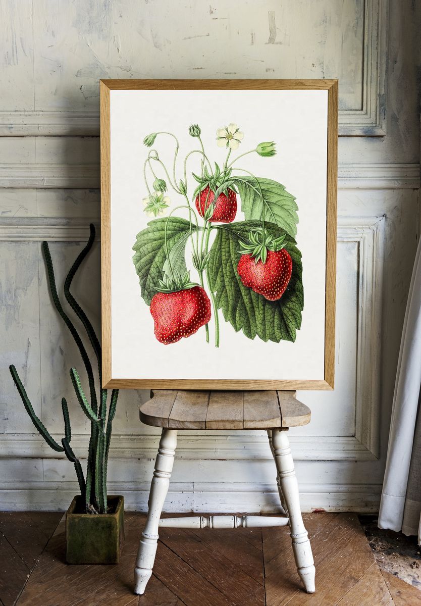 Vintage strawberry. Original Biodiversity Heritage. — room view 1