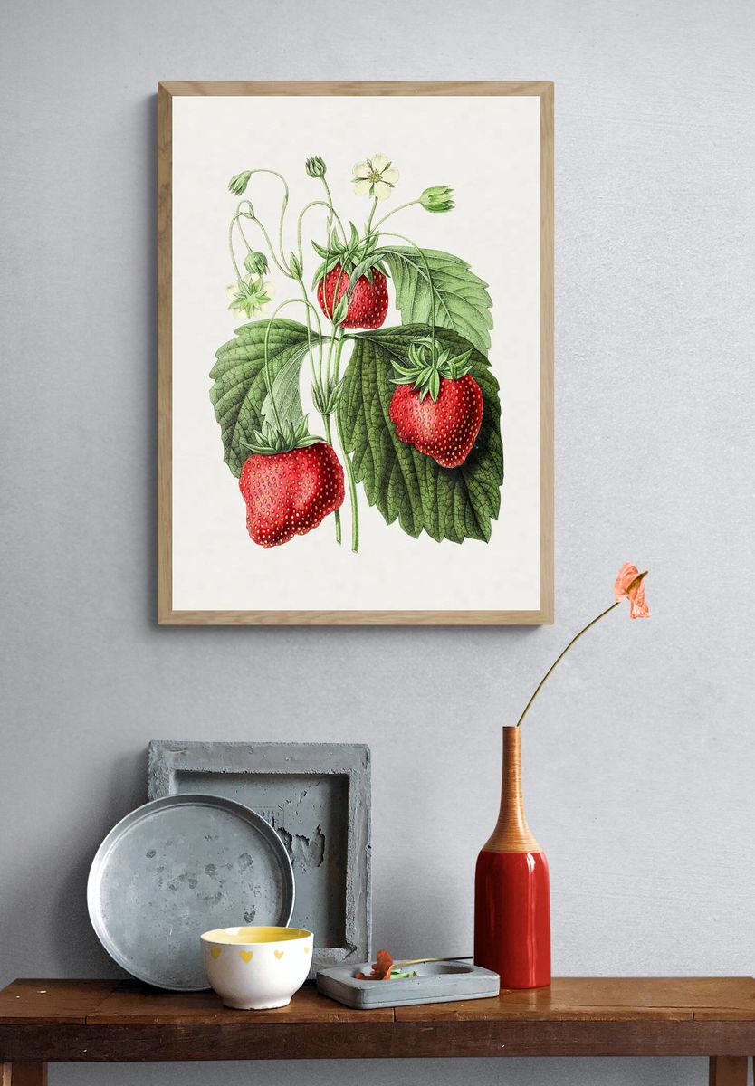 Vintage strawberry. Original Biodiversity Heritage. — room view 3