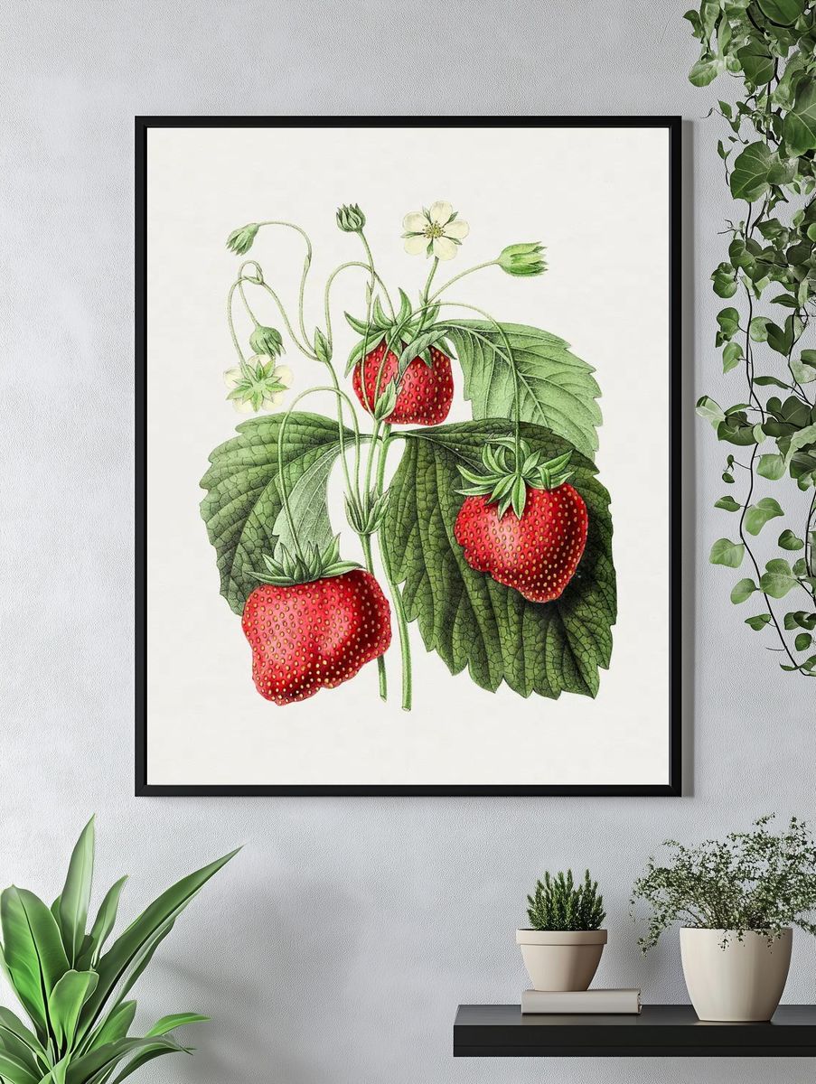 Vintage strawberry. Original Biodiversity Heritage. — room view 4