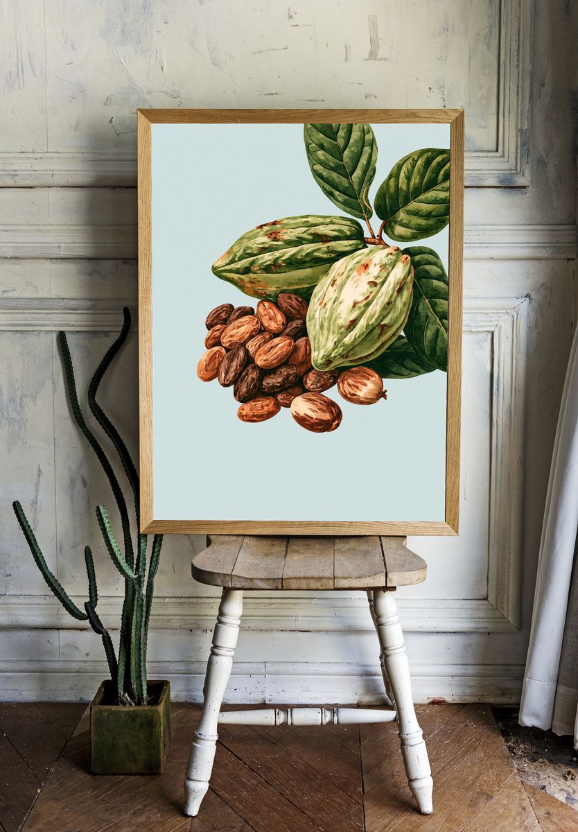 Cacao Pods Botanical Print. room preview