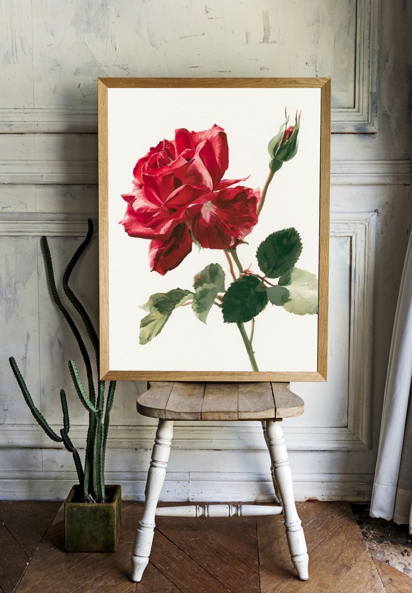 Red Rose Watercolor Print. — room view 1