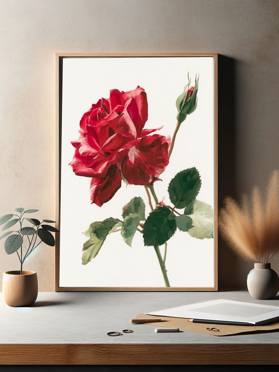 Red Rose Watercolor Print. — room view 2