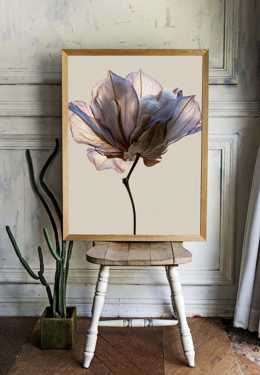 Translucent Flower Botanical Print. — room view 1