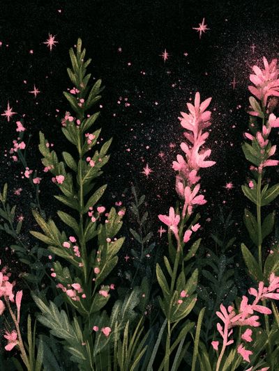 Pink Wildflowers Botanical Print.