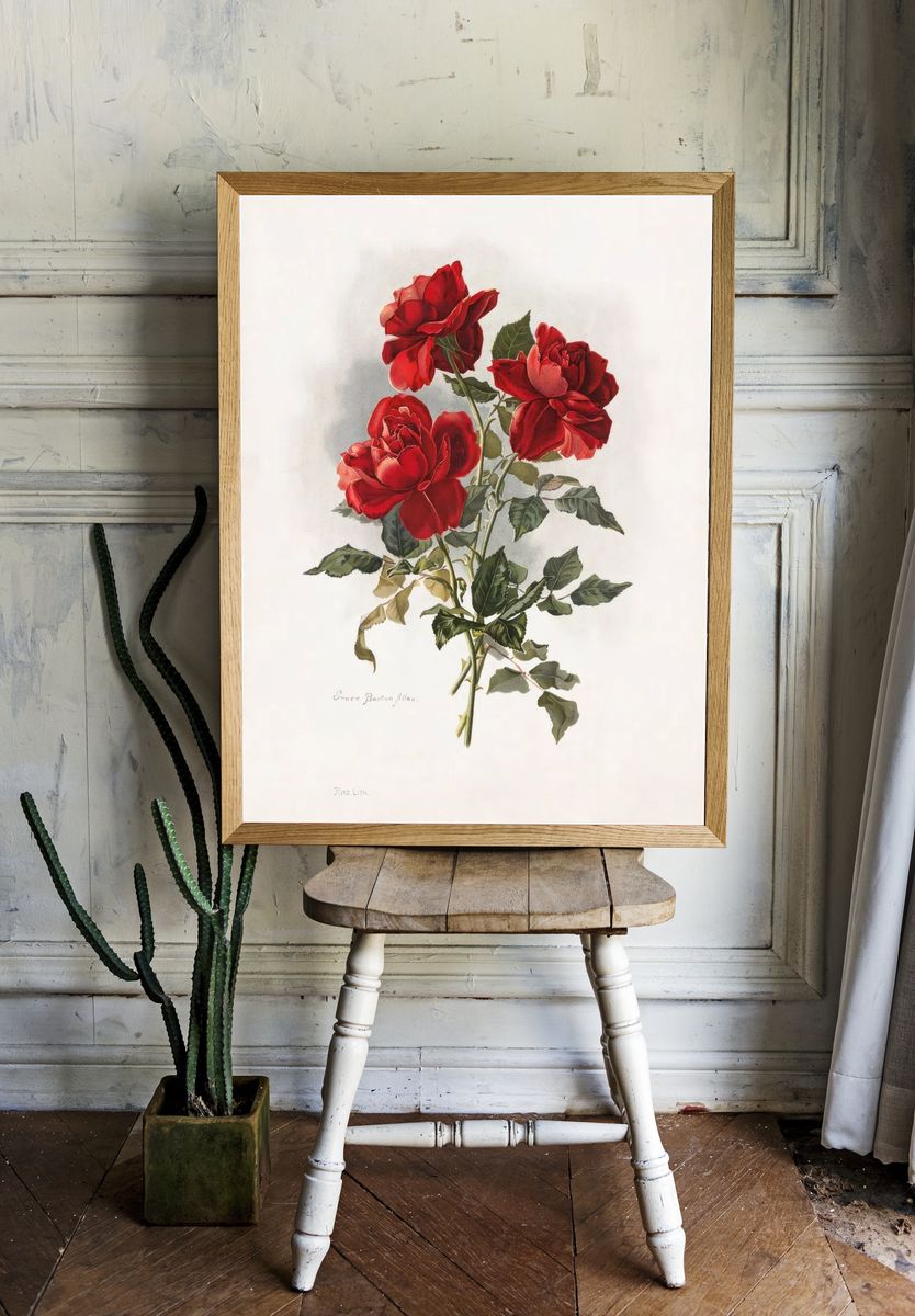 Red Roses (1861-1897), vntage flower. — room view 1