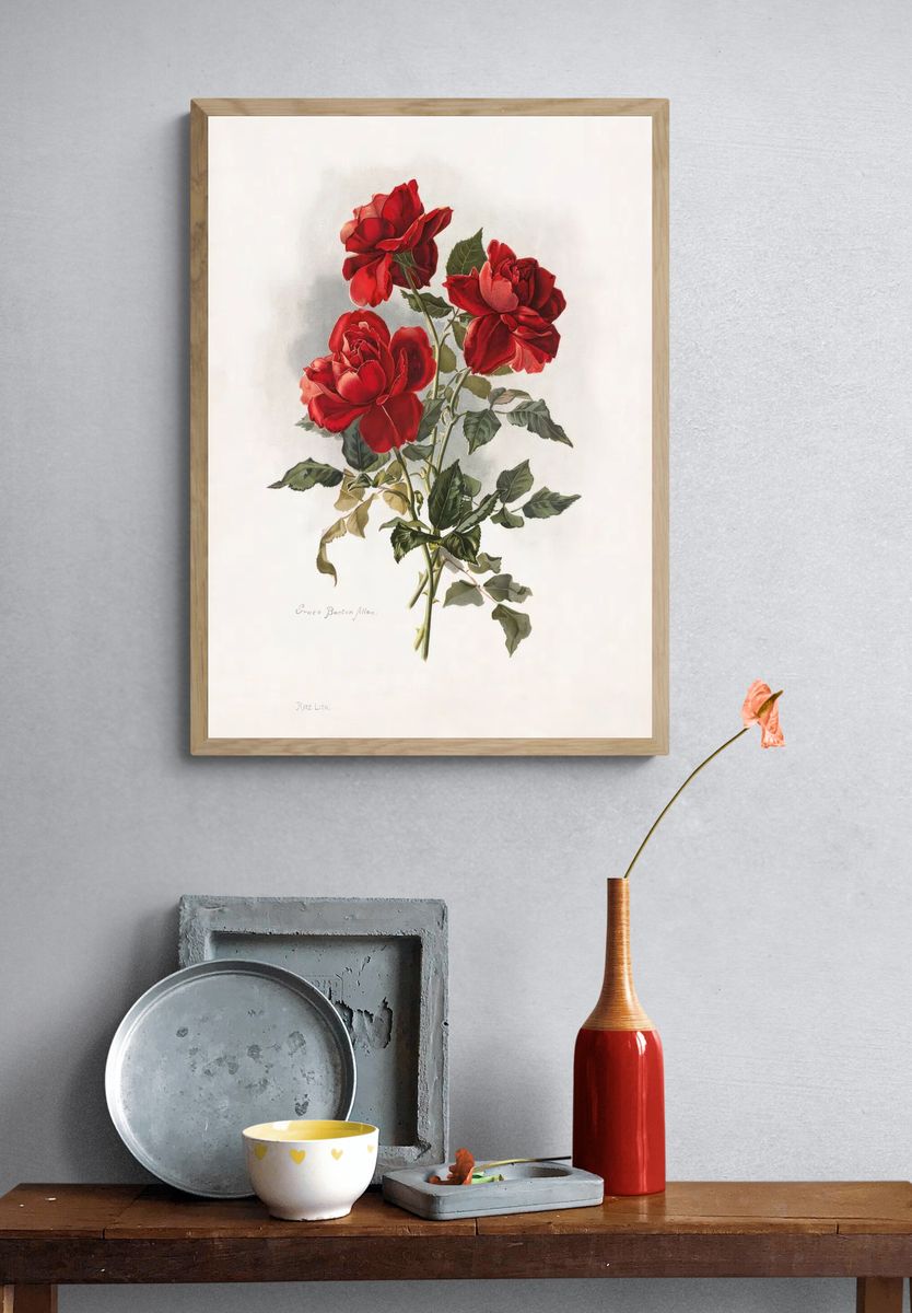 Red Roses (1861-1897), vntage flower. — room view 3