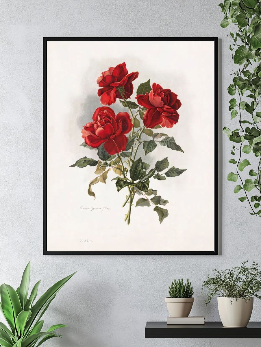 Red Roses (1861-1897), vntage flower. — room view 4
