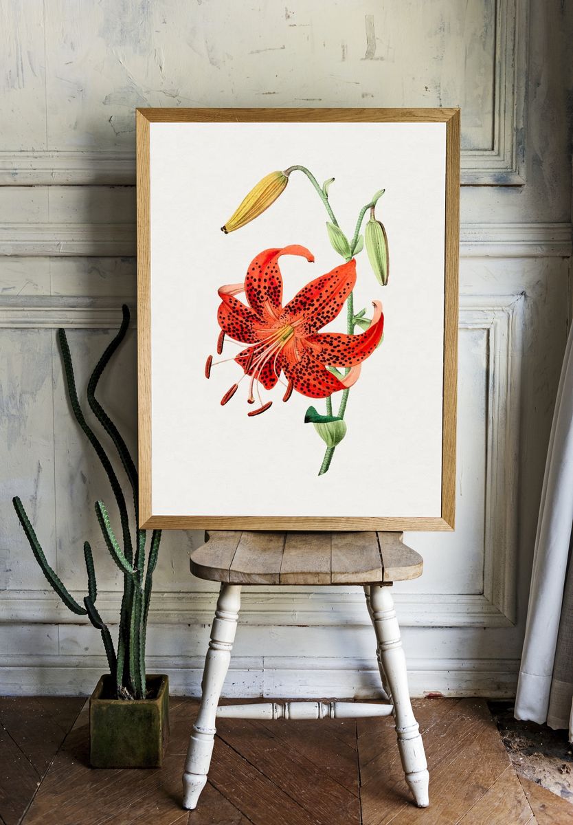 Hand drawn tiger lily. Original. — room view 1