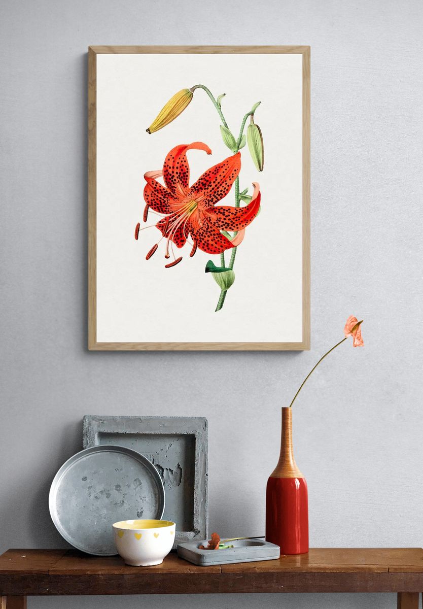 Hand drawn tiger lily. Original. — room view 3