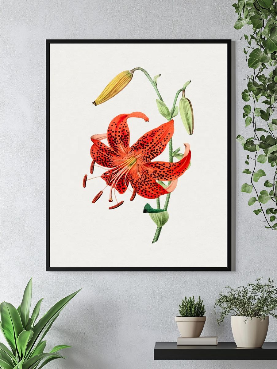 Hand drawn tiger lily. Original. — room view 4