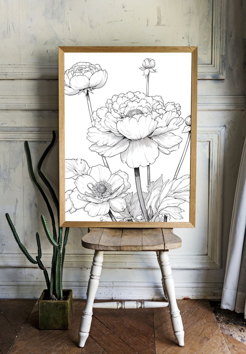 Peony Botanical Line Art Poster. room preview