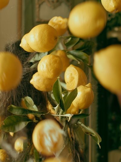 Lemon Branch Still Life Print.