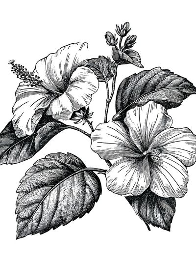 Floral Heart Line Art Poster.