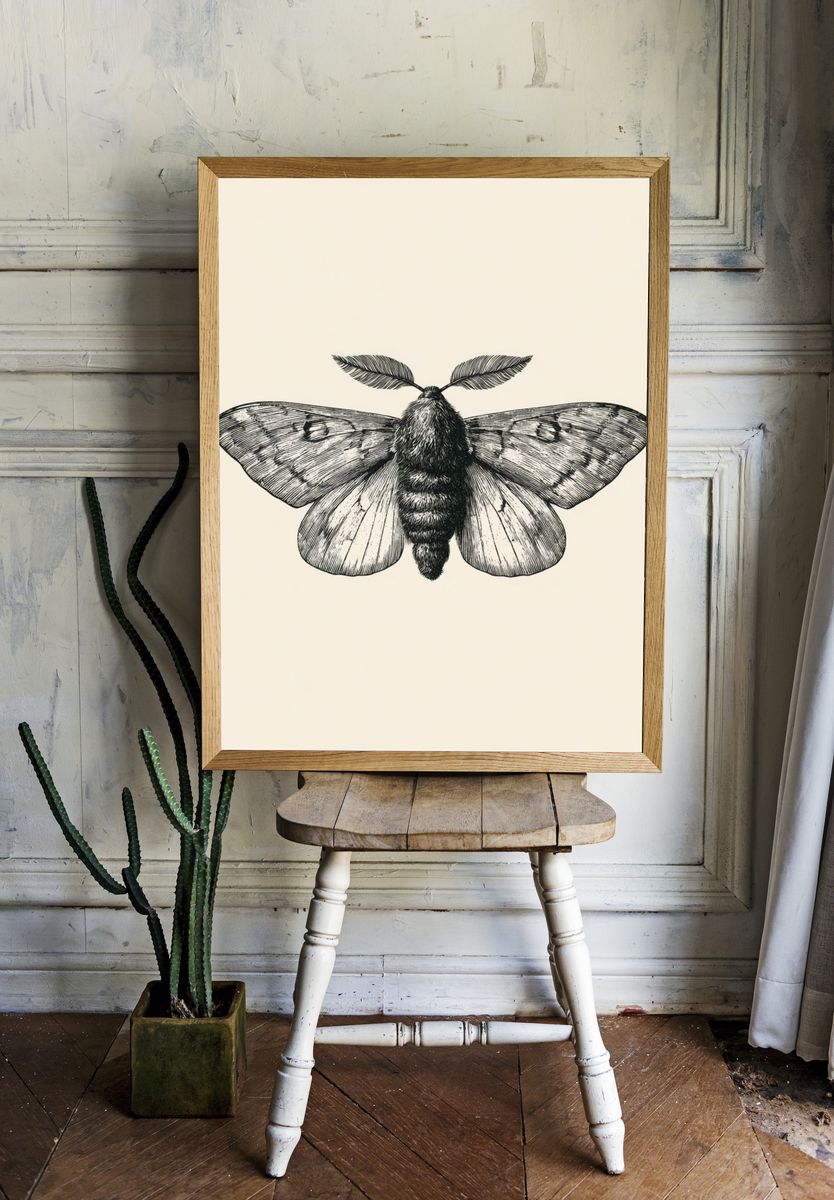 Moth Botanical Line Art Poster. room preview