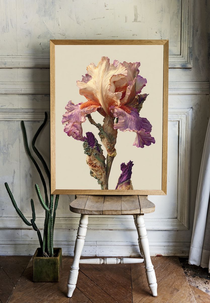 Pressed Iris Botanical Print. — room view 1