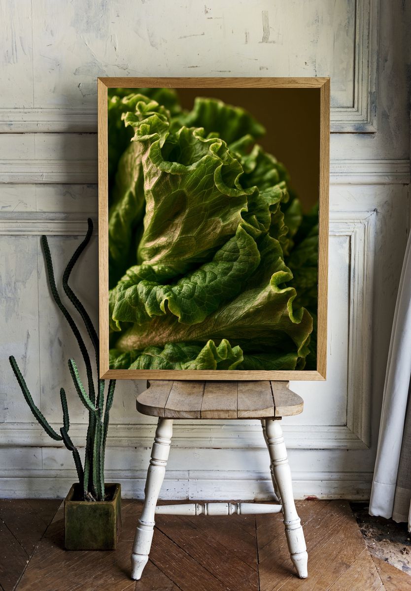 Lettuce Macro Photography Poster. room preview