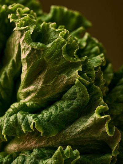 Lettuce Macro Photography Poster. poster