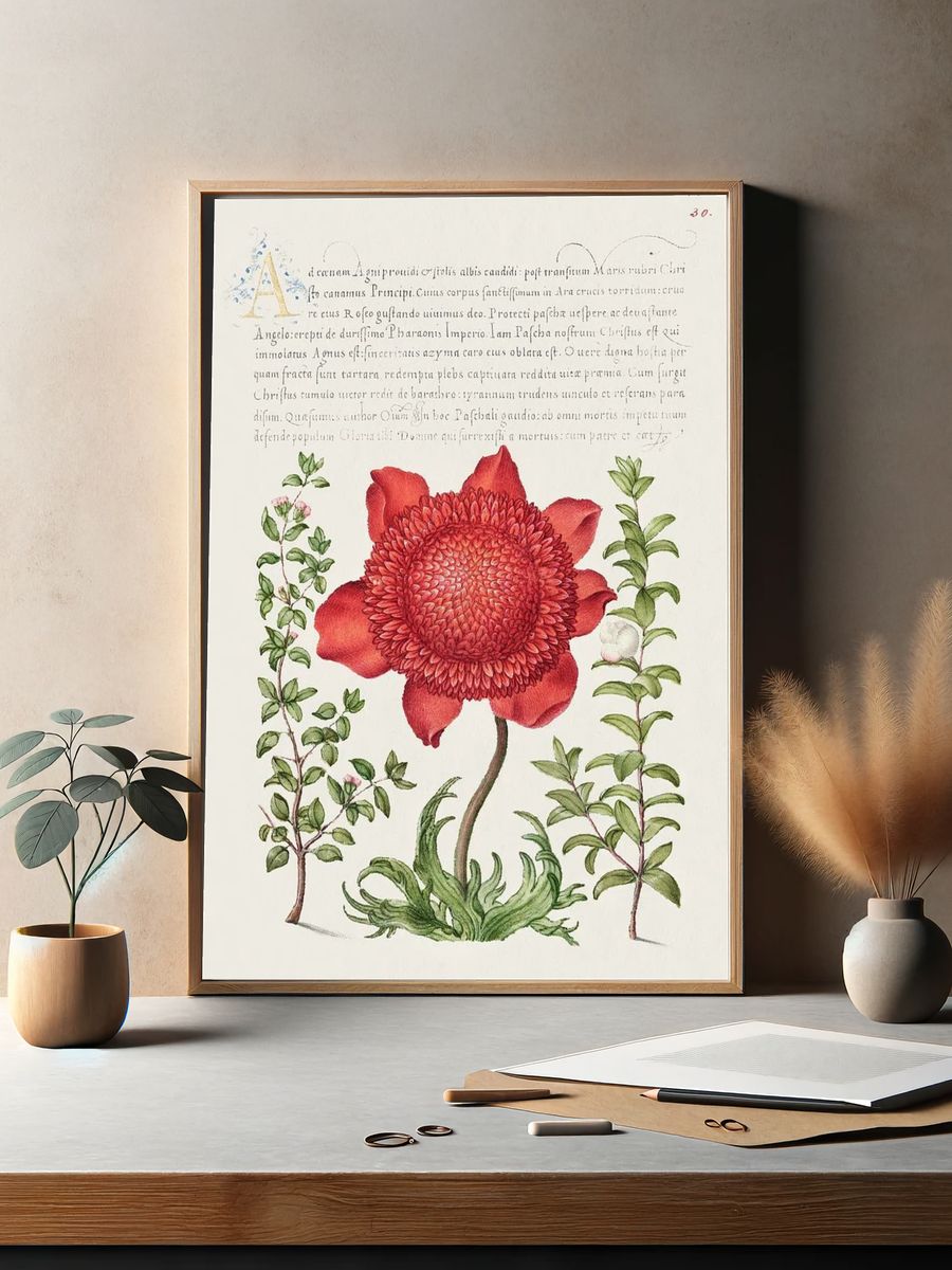 Basil Thyme, Poppy Anemone, Myrtle. — room view 2