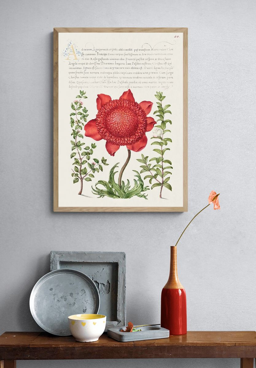 Basil Thyme, Poppy Anemone, Myrtle. — room view 3