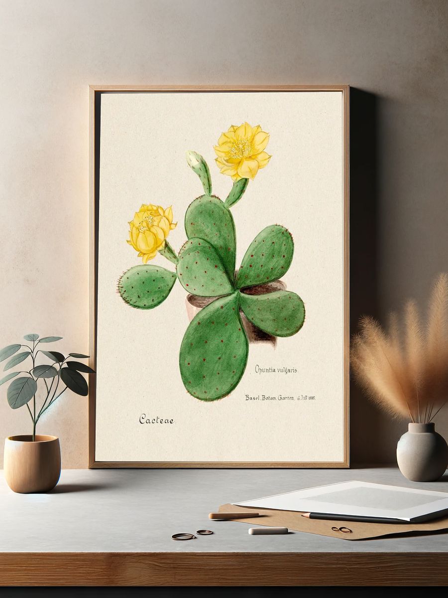 Eastern Prickly Pear cactus. Digitally. — room view 2
