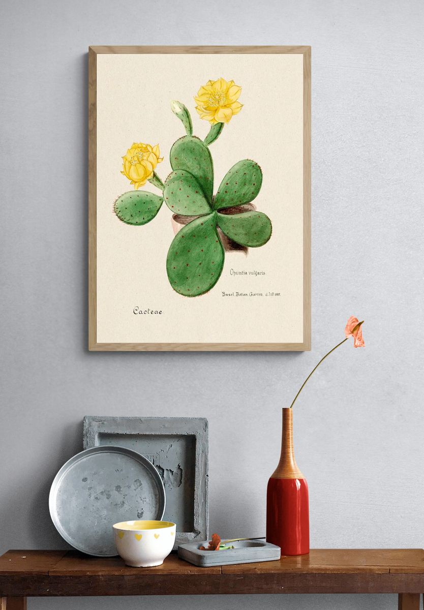 Eastern Prickly Pear cactus. Digitally. — room view 3