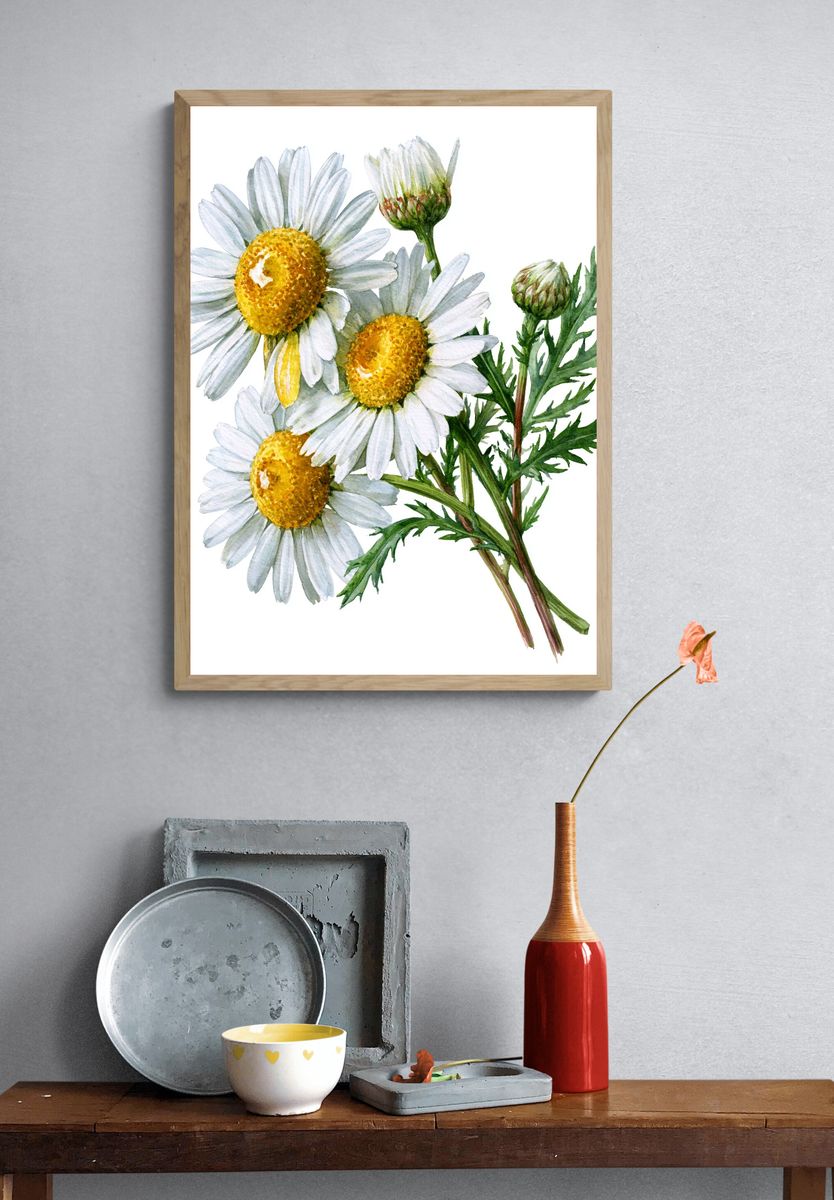 Chamomile Flowers Watercolor Print. — room view 3
