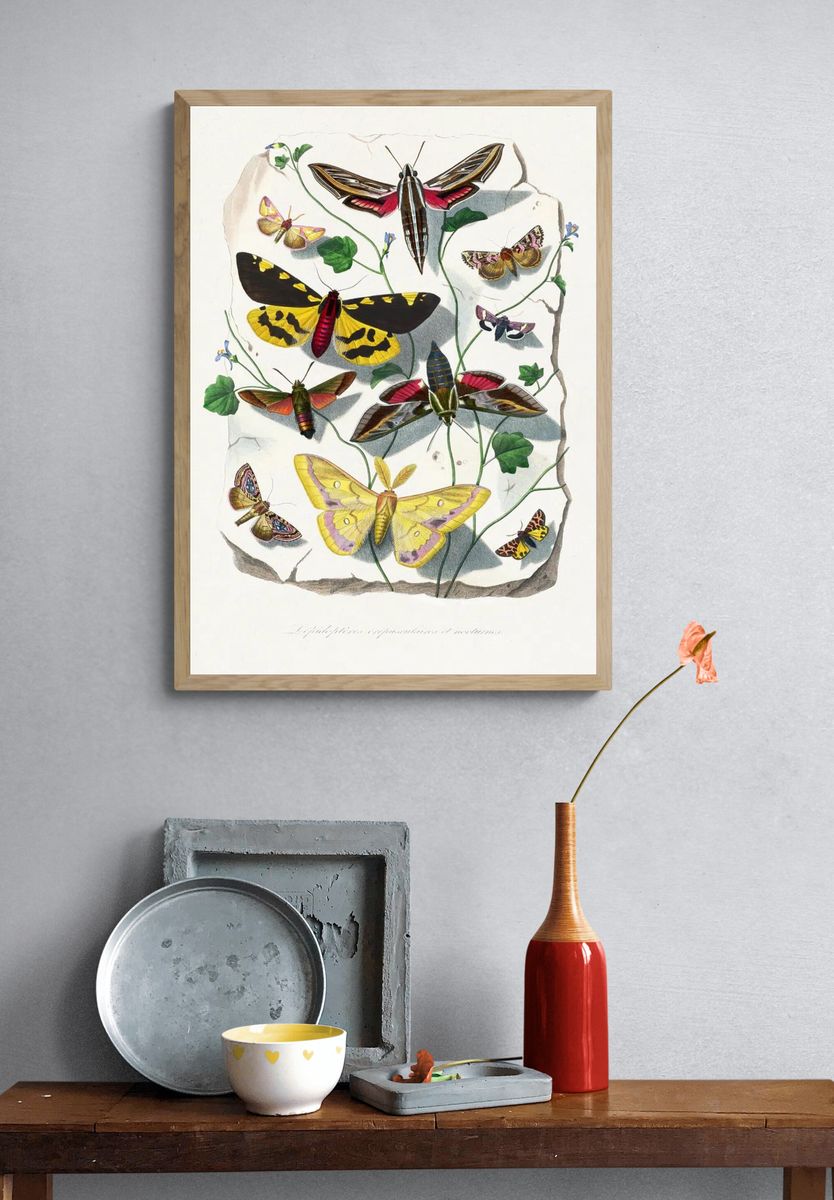 Butterfly & moth painting. Digitally. — room view 3