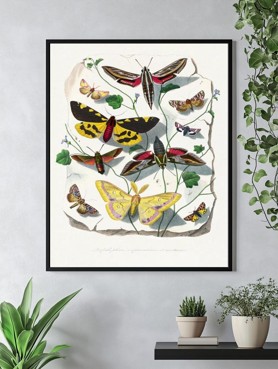 Butterfly & moth painting. Digitally. — room view 4